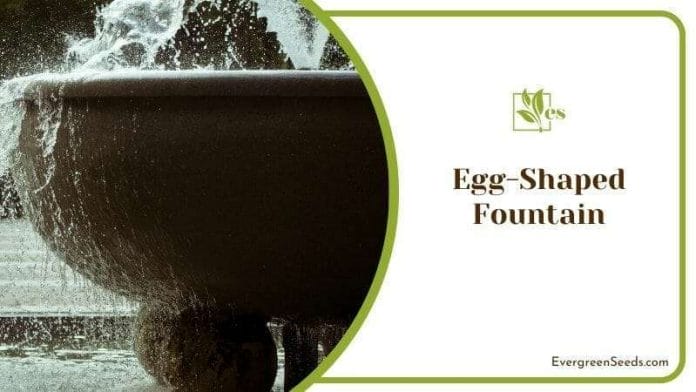 Egg-Shaped Fountain