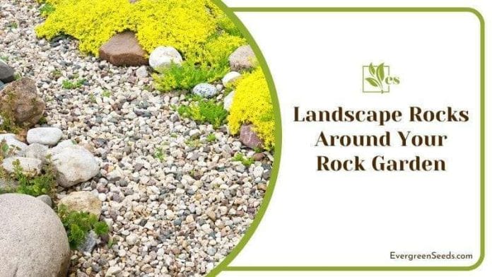 Landscape Rocks Around Your Rock Garden