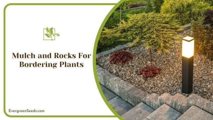 Mulch and Rocks For Bordering Plants