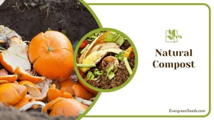 Natural Compost