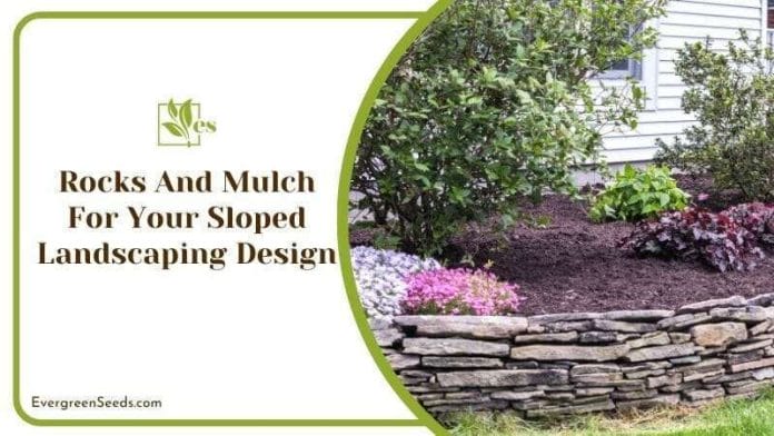 Rocks And Mulch For Your Sloped Landscaping Design