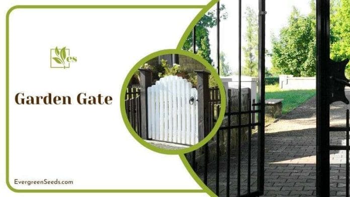 Steel Garden Gate