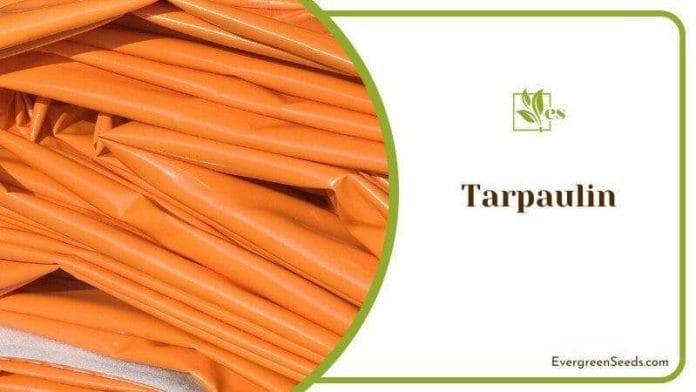 Tarpaulin has Waterproof Material