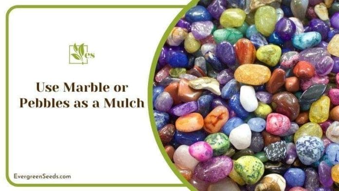 Use Marble or Pebbles as a Mulch