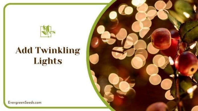 Adding Twinkling Lights