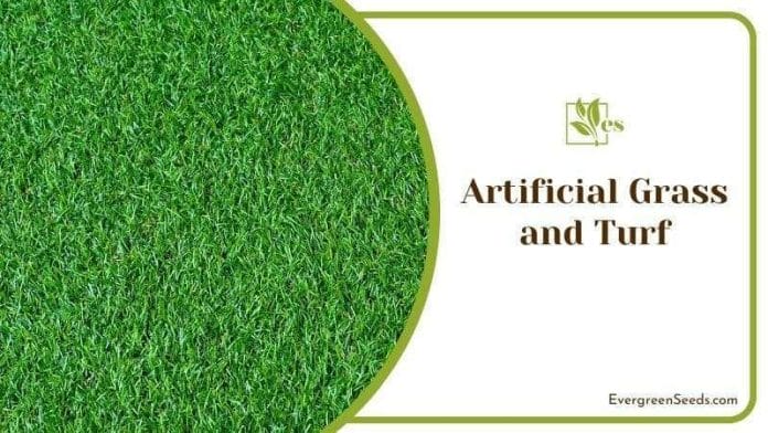 Artificial Grass and Turf