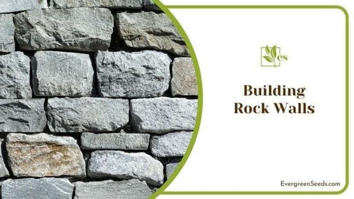 Building Rock Walls