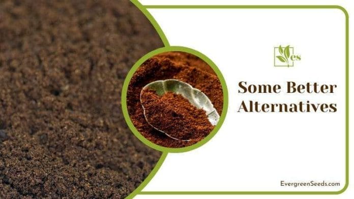 Coffee Ground is Alternative of Cayenne Pepper