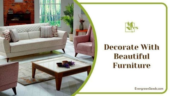 Decorative Beautiful Furniture