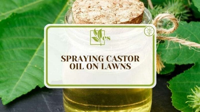 Details of Spraying Castor Oil on Lawns