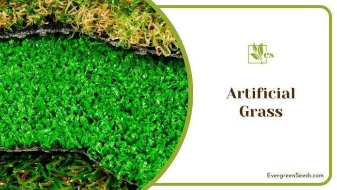 Different Types of Artificial Grass