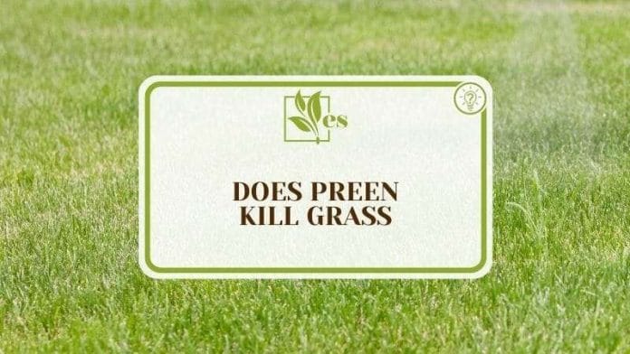 Does Preen Kill Grass