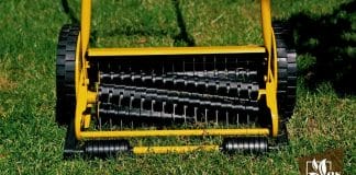 Everything About Lawn Aeration