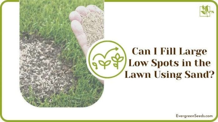 Fill Large Low Spots in the Lawn