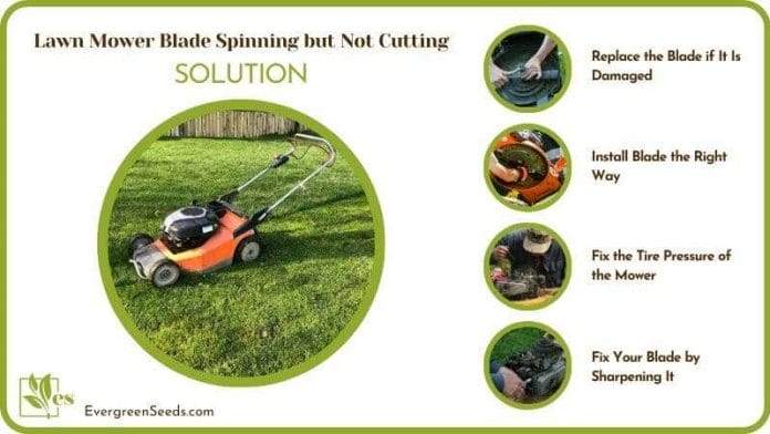 Fix Lawn Mower Blade Not Cutting