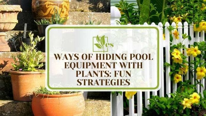 Hiding Pool Equipment with Plants