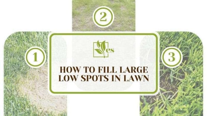 How To Fill Large Low Spots in Lawn