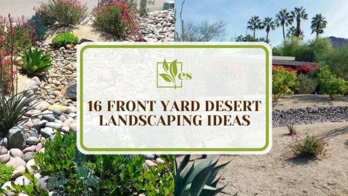 Impressive Front Yard Desert Landscaping Ideas