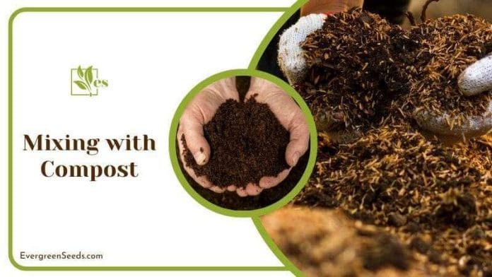 Mixing Coffee Grounds with Compost