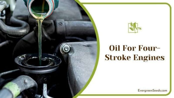 Pouring Oil in Four Stroke Engines