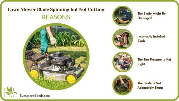 Reasons Lawn Mower Blade Not Cutting