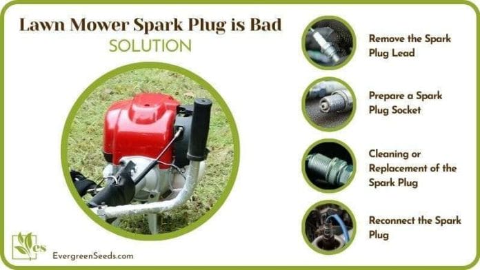 Solutions Lawn Mower Spark Plug is Bad