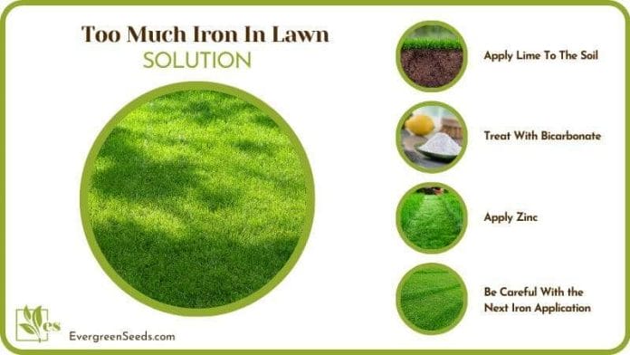 Solve Too Much Iron in Lawn