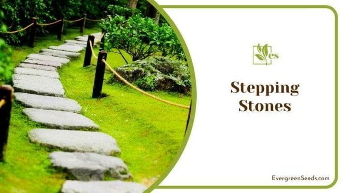 Stepping Stones in Garden