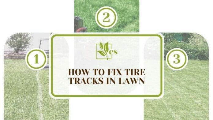 The Only Guide You Need for Fixing Tracks in Lawn