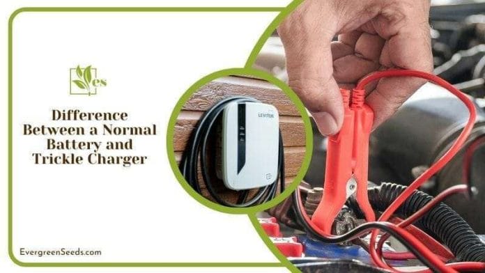 Difference Between a Normal Battery and Trickle Charger